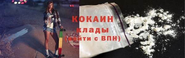 гидра Абаза