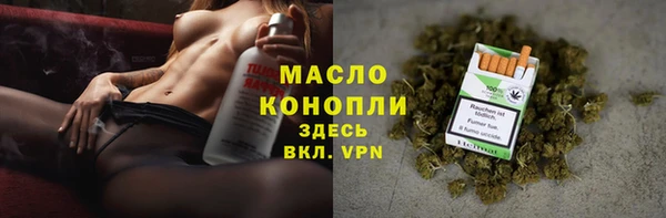 гидра Абаза