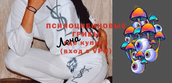 дживик Абинск
