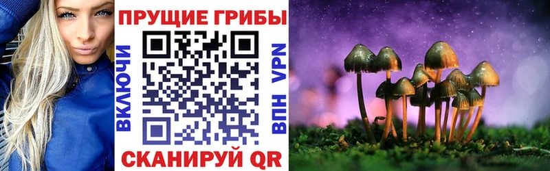 Псилоцибиновые грибы Psilocybine cubensis магазин наркотиков Нижняя Тура